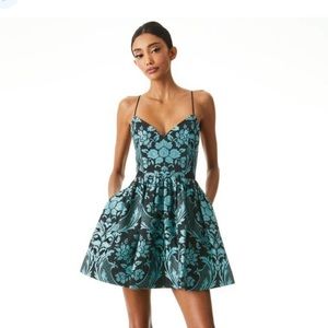 NWT Alice + Olivia Carlotta Sweetheart Party Dress